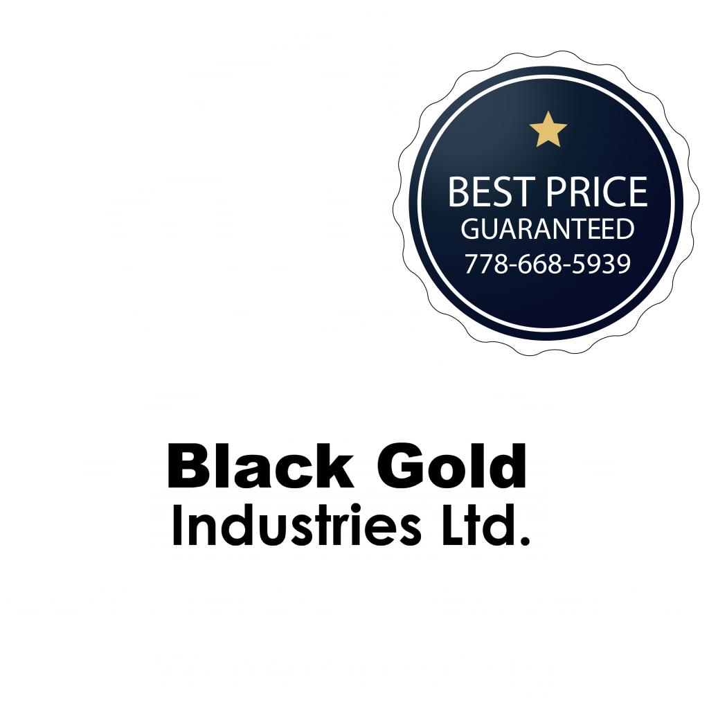 RESIDENTIAL BLACK GOLD INDUSTRIES LTD