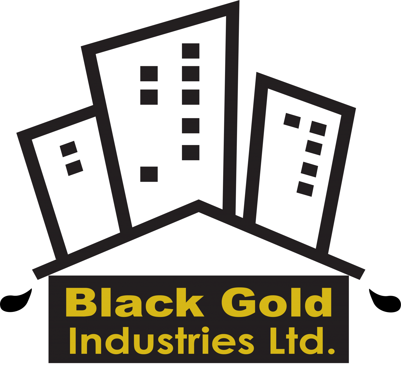 BLACK GOLD INDUSTRIES LTD BlackGold